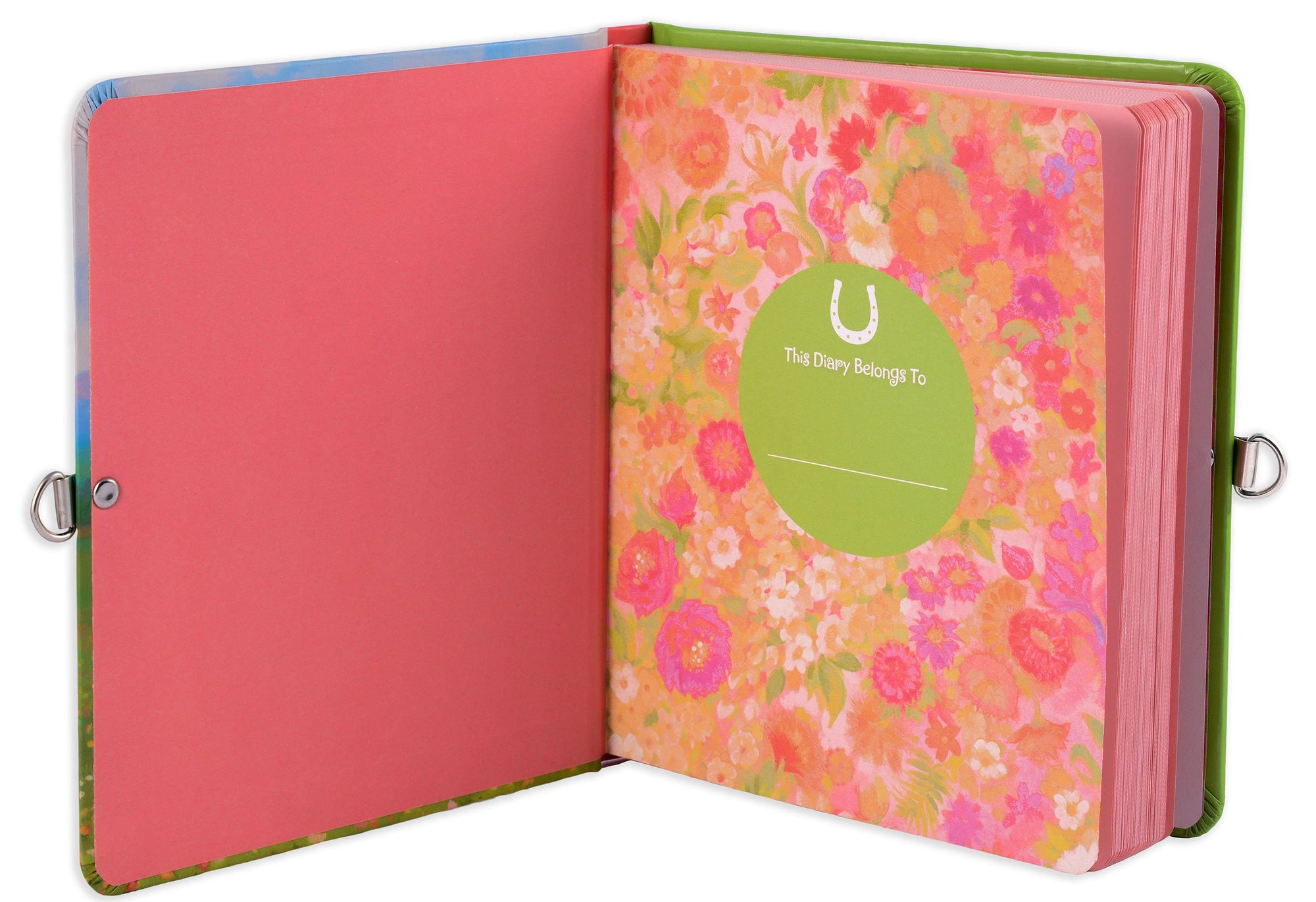 my-horse-diary-lock-and-key-
